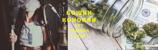 винт Ельня