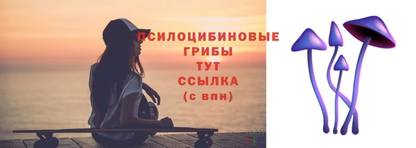 винт Ельня