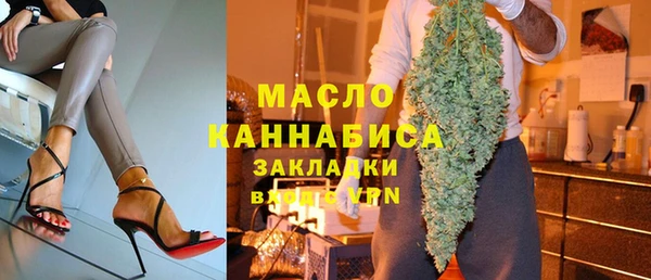 винт Ельня