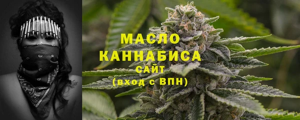 винт Ельня