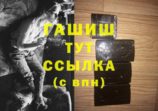 винт Ельня